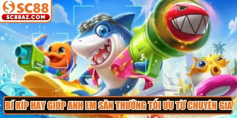 Bí kíp hay giúp anh em săn thưởng tối ưu từ chuyên gia
