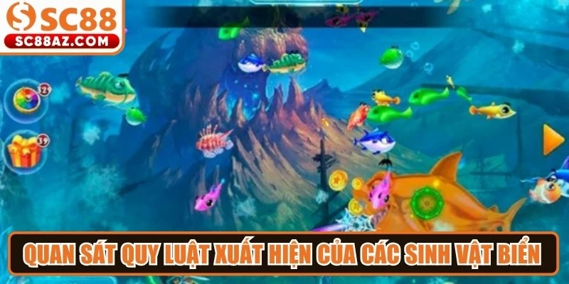 Quan sát quy luật xuất hiện của các sinh vật biển là mẹo tối ưu chiến thắng