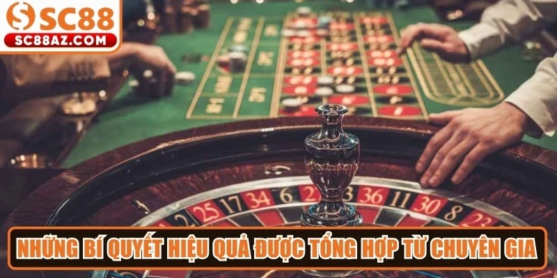 Những bí quyết hiệu quả được tổng hợp từ các chuyên gia hàng đầu
