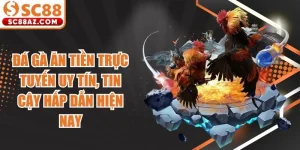 Đá Gà Ăn Tiền