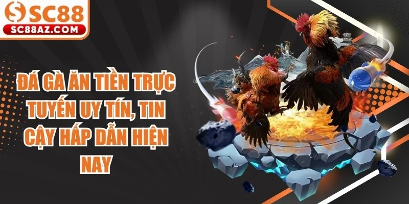 Đá Gà Ăn Tiền