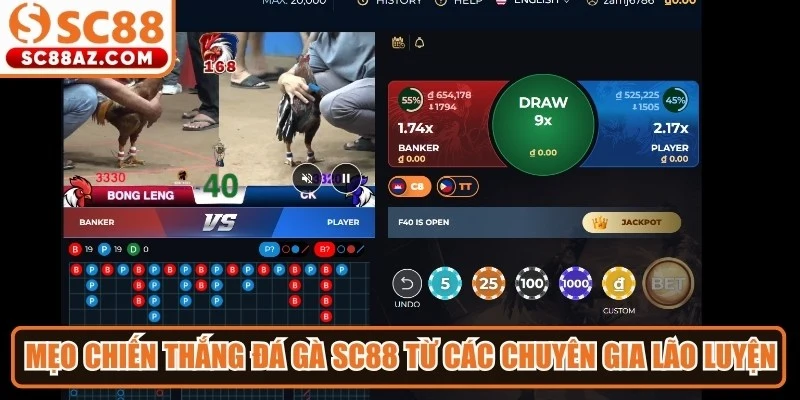 Mẹo chiến thắng đá gà Sc88 từ các chuyên gia lão luyện