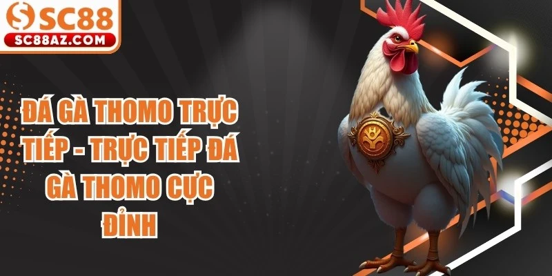 Đá Gà Thomo Trực Tiếp