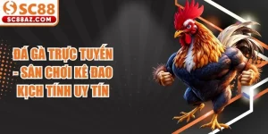 Đá Gà Trực Tuyến