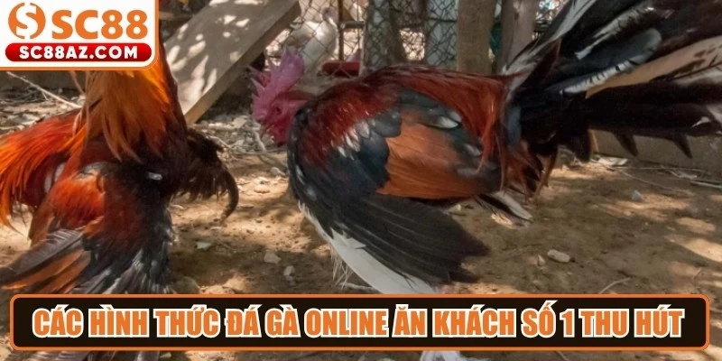 Các hình thức đá gà online ăn khách số 1 thu hút các chủ kê