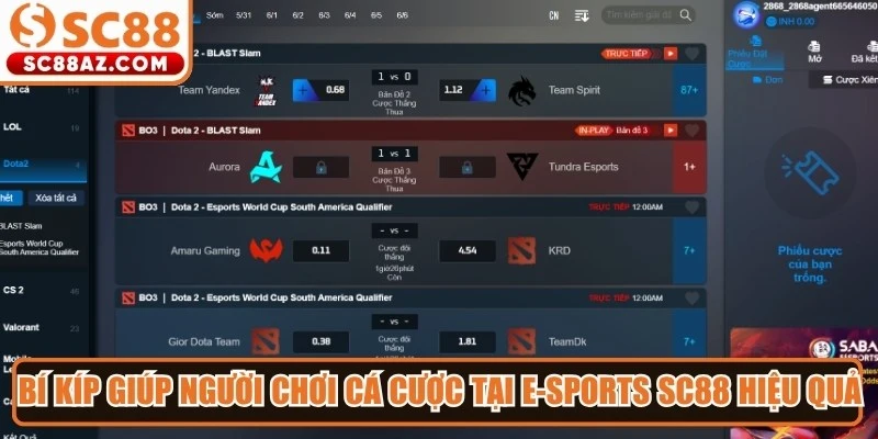 Bí kíp giúp người chơi cá cược tại E-sports Sc88 hiệu quả