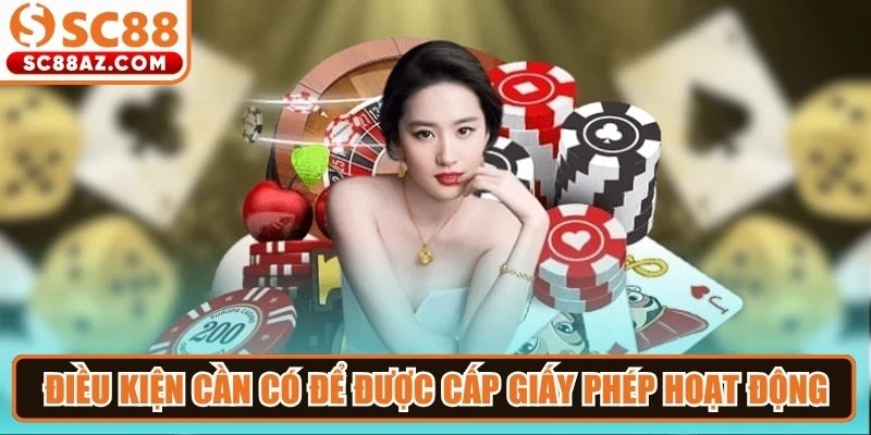 Điều kiện cần có để được cấp giấy phép hoạt động