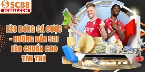Kèo bóng cá cược
